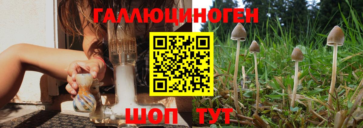 Псилоцибиновые грибы мицелий Урай