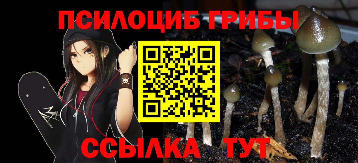 Галлюциногенные грибы Psilocybine cubensis  Вход с VPN  Урай 
